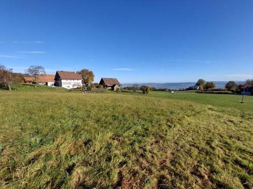 Horgen District House | Historisches Doppel - Riegelbauernhaus