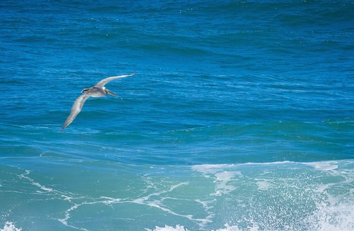 Yachats Hotel | Overleaf Lodge