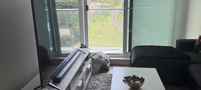 1 Room With Private Washroom in a shared 2Br 2 Bathroom cozy condo in Ottawa