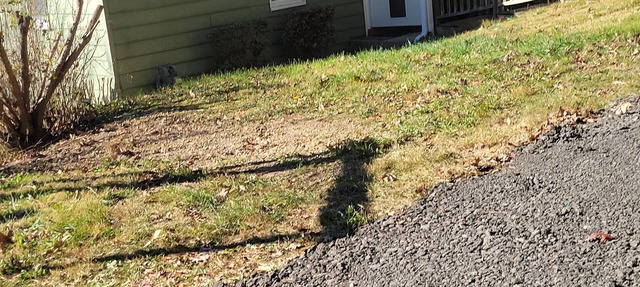 2-bedroom cottage 14 minutes from Downtown Cumberland Historic District in CUMBERLAND