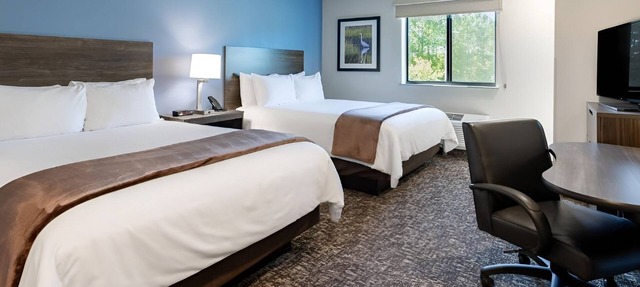 4 Bright and Inviting Rooms with Full Kitchen to Cook & Relax - Pet Friendly! in Watertown