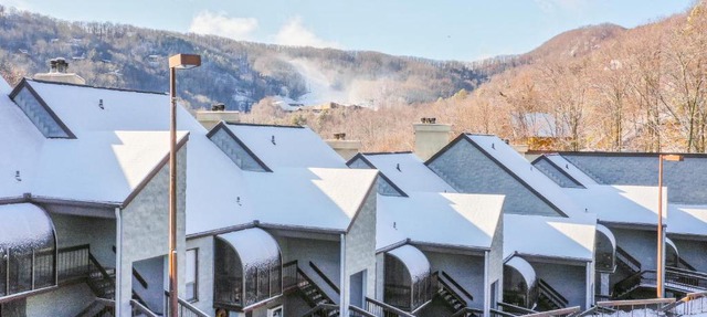 Alpine Condo & Cozy Bear Condo in Gatlinburg