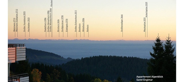 ALPINE VIEW: Vacation in the mountain forest - with a large indoor pool & unforgettable panorama in Sankt Englmar