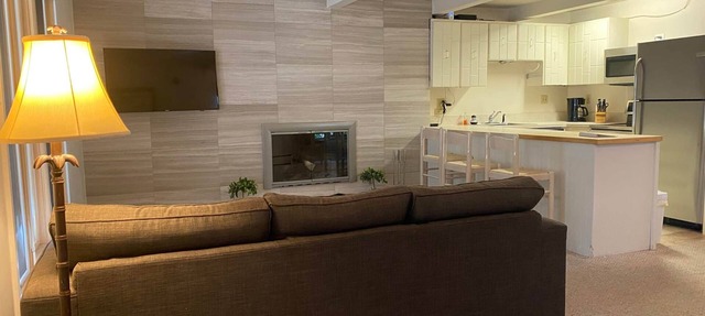 Amazing setting - 2 blocks to Aspen Gondola, 1 BR, Amazing Core location - 1 BR in Aspen