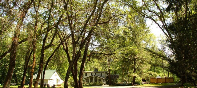 Beautiful Rustic Cabin on the Rogue River in Grants Pass