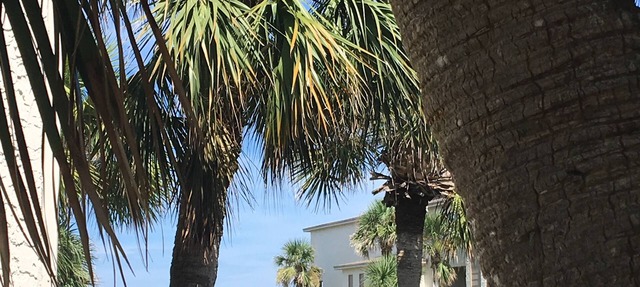 Best Beach view condo 2 story 2br 1.5ba views of ocean,pool & intercoastal. in St. Augustine