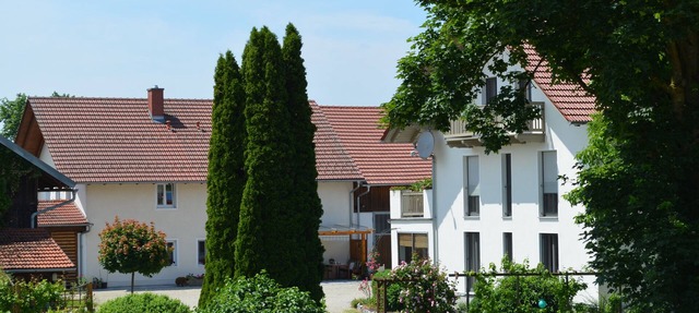 Bright, friendly apartment with private garden, right on the Danube cycle path in Winzer