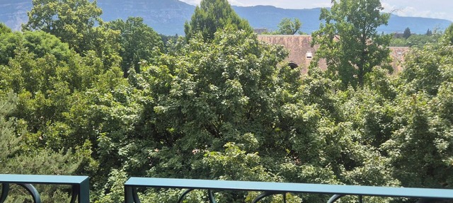 Chic & Calm 3BR Flat – Ideal Location & Parking in Geneva