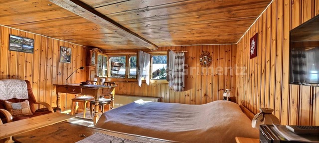 Comfortable flat for 3 people, living room with 1 double bed, kitchen with dining area, 1 small 1-be in Grimentz