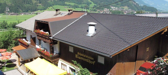 Cosy apartment in villa for 2 guests with WIFI, TV and terrace in Mitterdorf