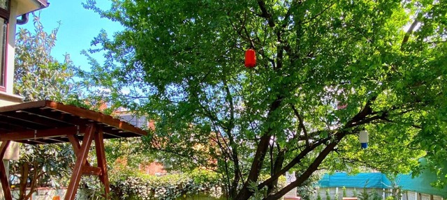 Cozy Flat with Backyard and Fireplace in Sapanca in Sapanca