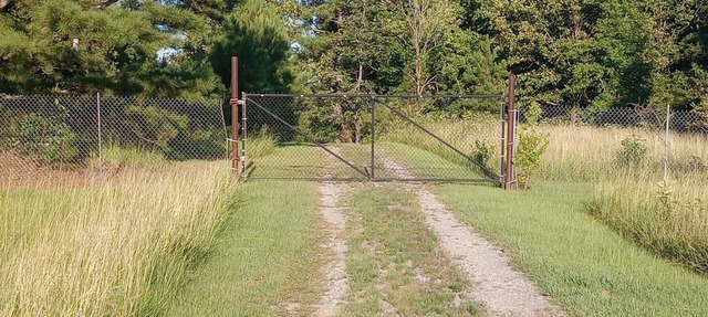 Cozy private cabin on 10 acres with 300+ feet of water front. Pet friendly. in Cedar Bluff