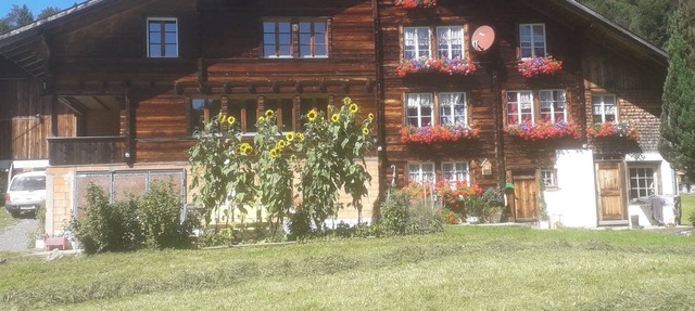 Cozy, rustic apartment in a quiet location in Hasliberg Hohfluh