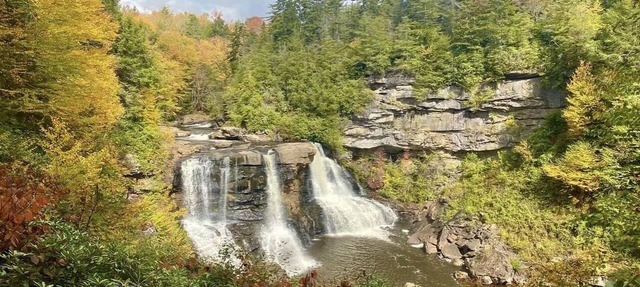 Cozy Sunlit Mountain Loft near Blackwater Falls and Canaan Valley in Davis, WV in Davis