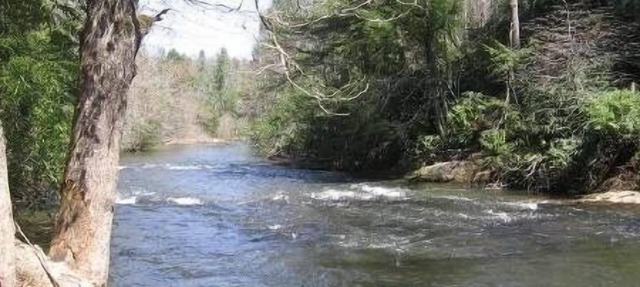 'CREEK-N-AWESOME' Luxury Creek Cabin/Trout Fishing/Hot Tub/PET FRIENDLY in Blue Ridge