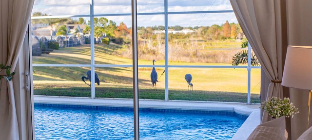 Delightful Pool Retreat close to Disney - 2 Kings. in Davenport