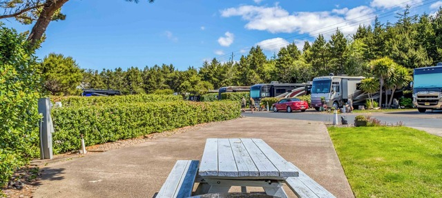 Dog Friendly, Available with 50AMP, 30AMP, Water and Sewer hook up's, WiFi in Newport