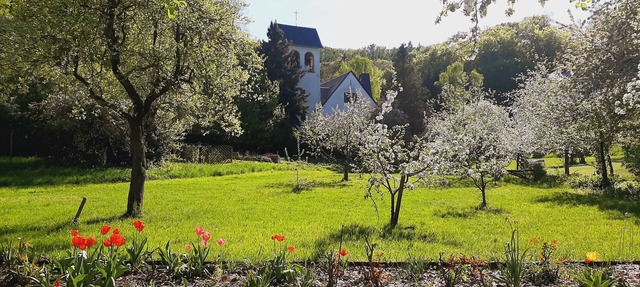 Double room for 2 guests with 12m² in Bad Freienwalde (Oder) (272806) in Bad Freienwalde (Oder)