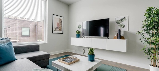 Fabulous and Brand New Downtown Condo with free parking and gym in Austin