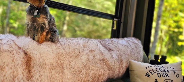Lakefront Glamping Tiny Home near Itasca State Park|dog|fire-pit|gas grill|wifi in Waubun