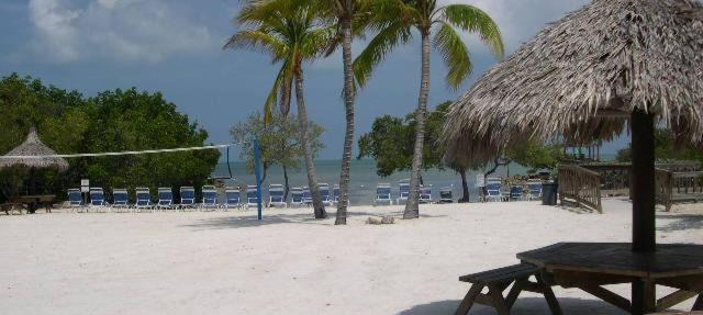 LICENSED MGR - MODERN OCEANFRONT - OCEAN VIEWS CONDO! BAR and BEACH RESORT! in Key Largo