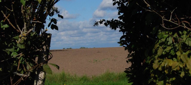 Lunkaberg Bed & Breakfast in Simrishamn