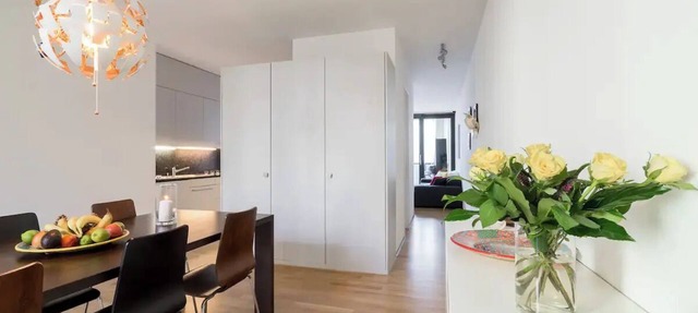 Luxury Apartment. Great Location. High Speed Wi-Fi in Zürich