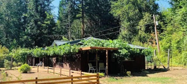 McKenzie Grapevine Hideaway—private mini villa in McKenzie Bridge