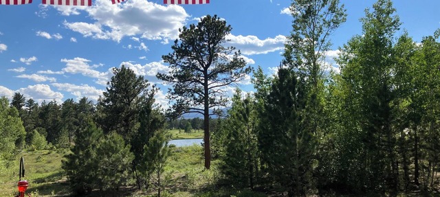 Mountain & Lake Views: A Getaway Nestled in Evergreen Trees & Golf Community. in Red Feather Lakes