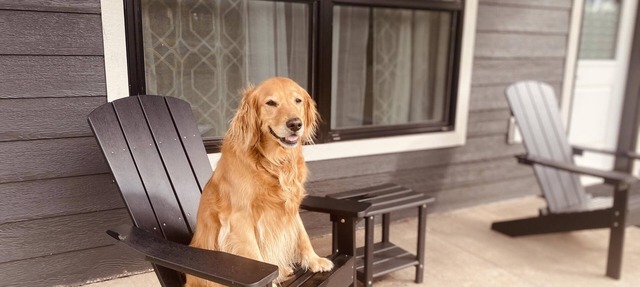 New Shoreline Home | Waterfront | Sauna | Views | Dogs | Trail Access in Duluth