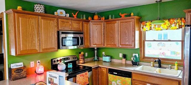 Nostalgic Retro Cottage, Blocks Away from Mississippi River. Full Fenced in Yard in La Crosse