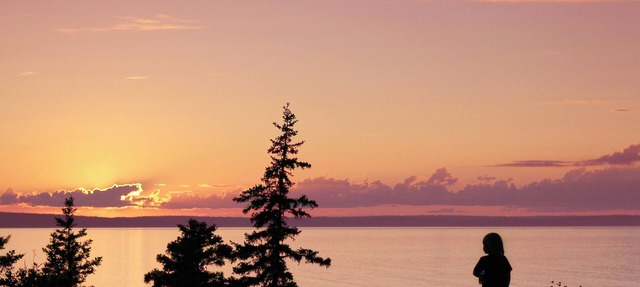 Ocean front cottage, relax and enjoy the sunset over St. Margaret's Bay! in Hacketts Cove