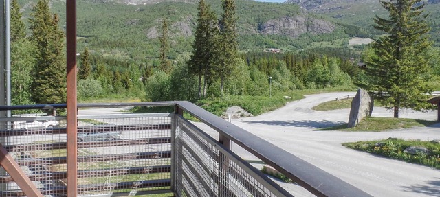 Pet friendly apartment in Hemsedal in Hemsedal