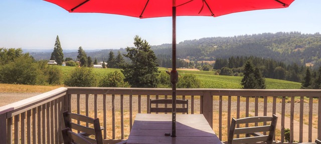 Pet Friendly Vineyard Home with Mountain Views in Sherwood