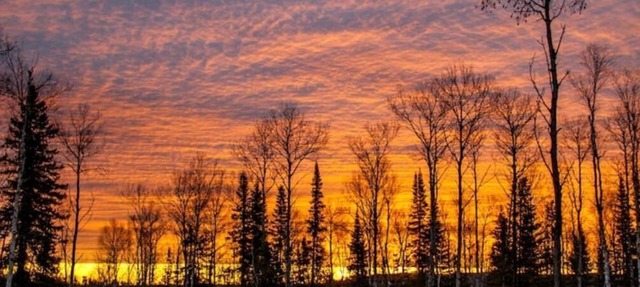 Phoenix Rising Off-Grid Amish crafted log cabin near the BWCA & SHT - Sled Dogs! in Hovland