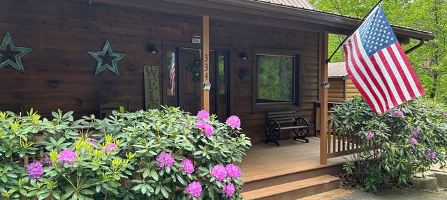 Prince Oswald's Tiger Tree House - Charming 3-bedroom Cabin in Tiger, GA in Tiger