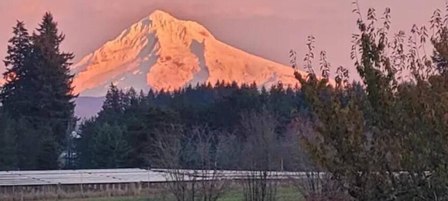 Private country home, Mt. Hood view, hot tub, full kitchen, business class Wi-Fi in Boring