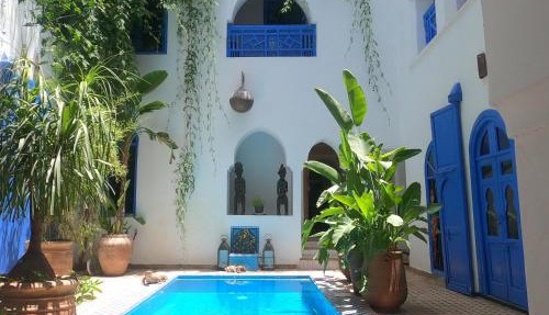 Riad Chameleon in Marrakesh