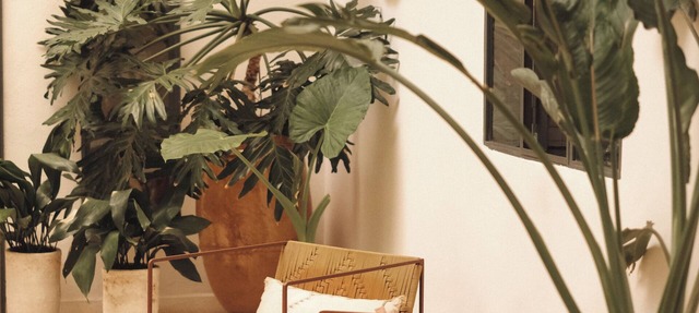 Riad le5 - Luxirious private Riad - All Inclusive in Marrakech