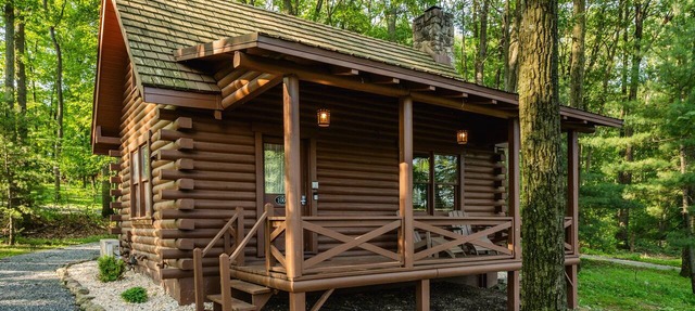 Secluded 1BR Cabin with King Bed | fireplace | Deck | WiFi | full kitchen. in Bethel
