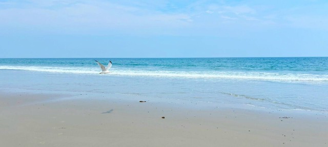Steps to Beach seaside retreat. 3BR 2BA home where comfort meets charm; in Hampton