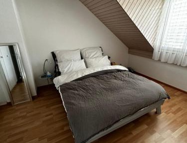 Sunny private Apartment in an amazing valley in Wila