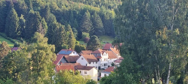 Superior - Ferienhaus am Engelsbach mit Pool im Thüringer Wald in Leinatal