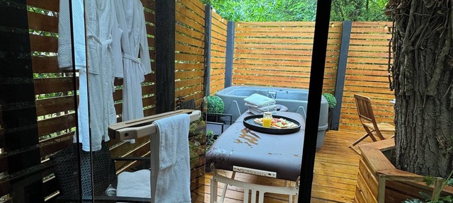 Tiny tree house in Rosedale