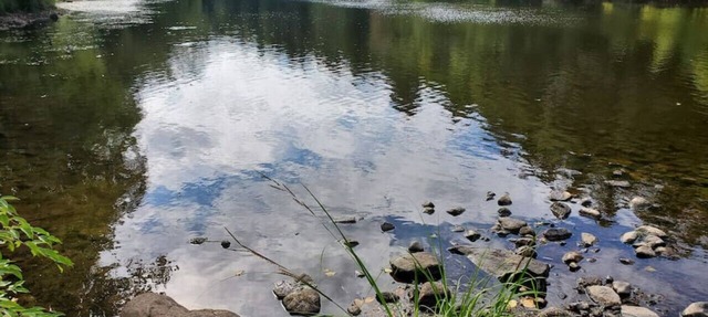 Two Private Riverfront Cabins for friends and family in Pine City