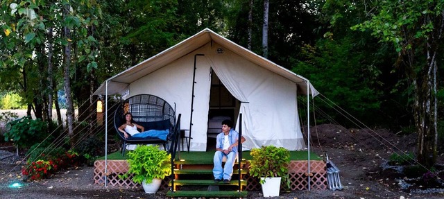 Unique Glamping Tent with Fun Farm Animal Encounters in Cornelius, Oregon in Cornelius