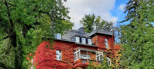 Vacation apartment/apartment for 2 guests with 25m² in Bad Freienwalde (Oder) (272808) in Bad Freienwalde (Oder)