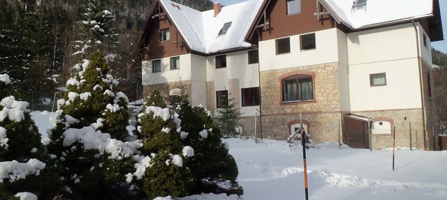 Villa Wellspacher - Private Luxury Family Apartment 1 in Semmering - Ski Holiday in Semmering-Kurort