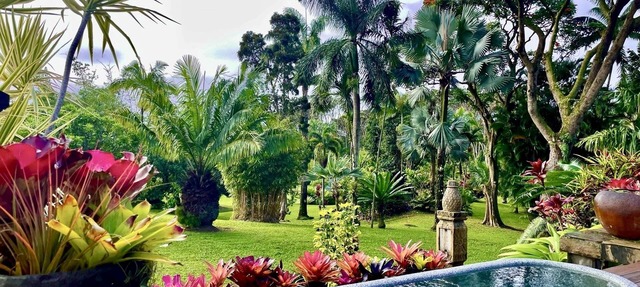 World Class Garden Residence in Pahoa