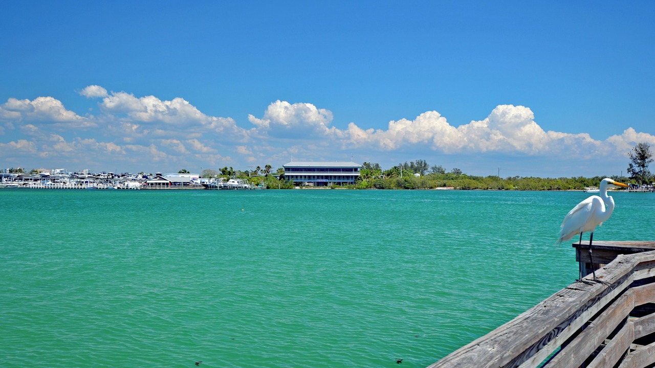 Photo of Others in Siesta Key